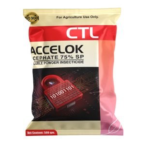Accelok