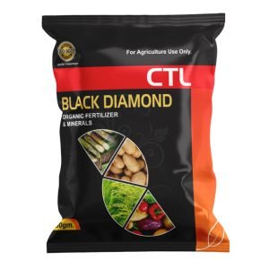 Black Diamond